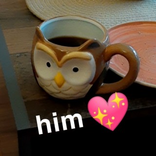 An owl-shaped mug with the caption "Him", followed by a sparkling heart